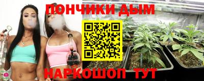 шишки Волжск
