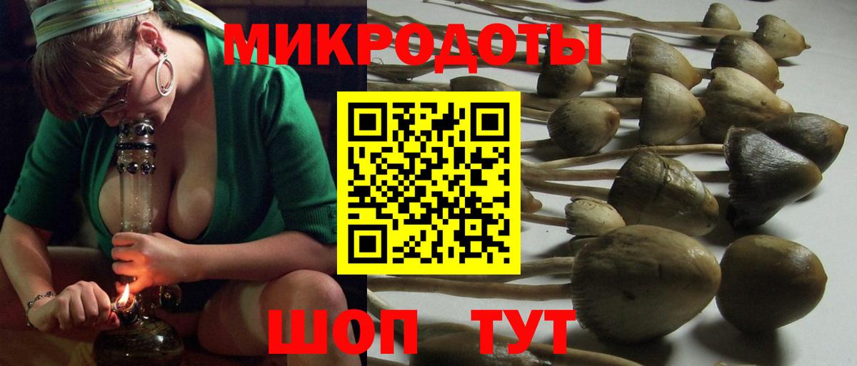 Борзя  Псилоцибиновые грибы MAGIC MUSHROOMS  Галлюциногенные грибы MAGIC MUSHROOMS  Вход с VPN 