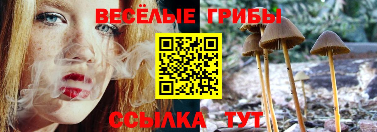 Галлюциногенные грибы мухоморы Борзя
